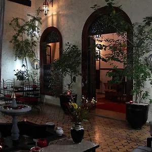 3* رياد رياض جومانا